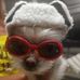 Tracy Cavender - Facebook
