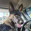 Tracy Cavender - @tracy.cavender - TikTok