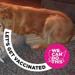 Tracy Cavender Yale - @tlcyale - Instagram