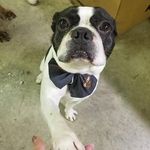Tracey Coates - @tracey.coates.7140 - Instagram