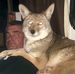 Tracy Conant - Facebook