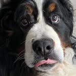 Tracey Cooke - @traceycookie65 - Instagram