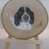 Tracey Cooke - @tracey.cooke1 - TikTok