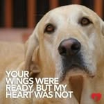 Tracey Cooke - @tracey_cooke - Instagram