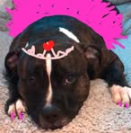 Tracey Cooke Johnston - Facebook