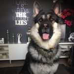 Tracey Cookson Williams - @traceycooksonwilliams - Instagram