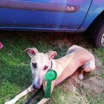 Tracey Coutts - Facebook