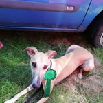 Tracey Coutts - @tracey.coutts.56 - Instagram