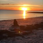 Tracey Blackburn Crowell - @traceyblabckburncrowell - Instagram