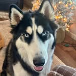 Tracey Crow - @tazzy333_ - Instagram
