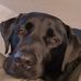 Tracey Crowe - Facebook