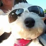Tracey Crowe - @tcrowe33 - Instagram