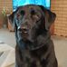 Tracey Crowe - Facebook