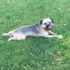 Tracey Crowe - @tracey.crowe - TikTok