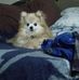 Tracy Crowe - Facebook