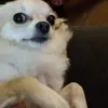 Tracey Crump - @tracey.crump2 - TikTok