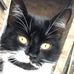 Tracey Crump - Facebook