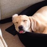 Tracey Dale - @littletracey4 - Instagram