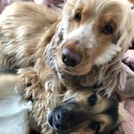 Tracey dale - @track_dale - Instagram