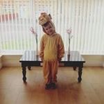Tracey Dempsey - @traceyfdempsey - Instagram
