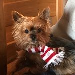 Tracey Dempsey Hendry - @traceydempseyhendry - Instagram
