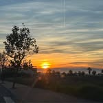 Tracey Denton - @tdentonowls1965 - Instagram