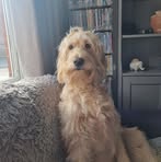 Tracie Denton - Facebook
