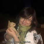 Tracey Doherty - @wildmidlands - Instagram