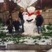 Tracey Donovan - Facebook