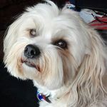 Tracey Donovan - @tracey.donovan.9 - Instagram