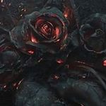 Tracey Donovan - @tracey.donovan.18 - Instagram