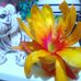 Tracey Donovan - Facebook