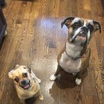 Tracy Dougherty Glynn - @tdoughertyglynn - Instagram