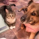 Tracey Drayton - @drayton_tracey - Instagram