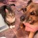 Tracey Drayton - Facebook