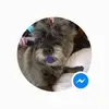 Tracey Dudley - @tracey.dudley6 - TikTok