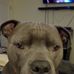 Tracey Eaddy - Facebook