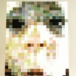 Emerson Tracey - @emerson_tracey24 - Instagram