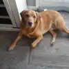 Tracey Emory - @tracey.emory1 - TikTok