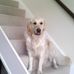 Tracey Epps - Facebook