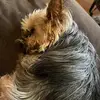 Tracey Epps - @user7672441325343 - TikTok