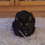 Tracey Batchelor - @traceyfarley4832 - Instagram