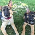 Tracey Farley - @tlynn6126 - Instagram