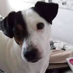 Tracey Farley - @tracey.farley.940 - Instagram