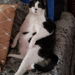 Tracey Ferrell - @traceyferrell77 - Instagram