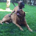 Tracey Ferrell - @traceyferrell62 - Instagram