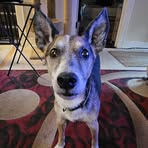 Tracey Fields - Facebook