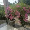 Floyd Tracey - @floyd.tracey - TikTok
