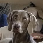 Tracey Frank - Facebook