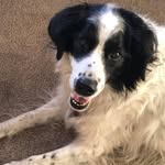 Tracey Frank O'Brien - @traceyo2003 - Instagram